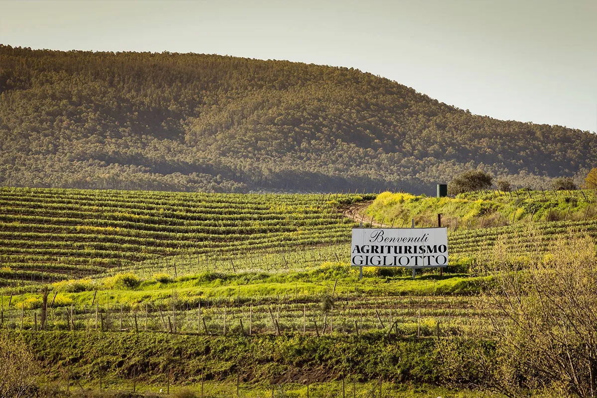 Agriturismo Gigliotto Ville e castelli fornitori sposi sicilia-gallery-img13